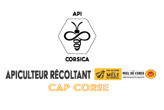 Miel de châtaigneraie API Corsica - AOP Mele di Corsica