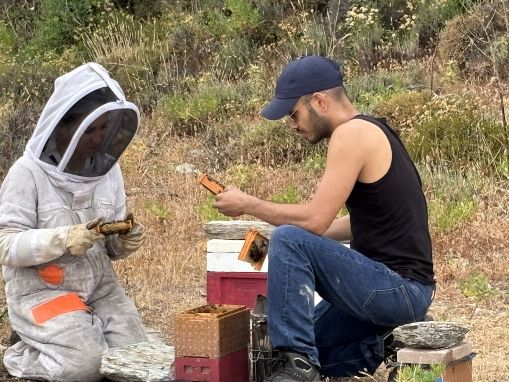 Carrière de Brando - Ruches API Corsica Cap Corse