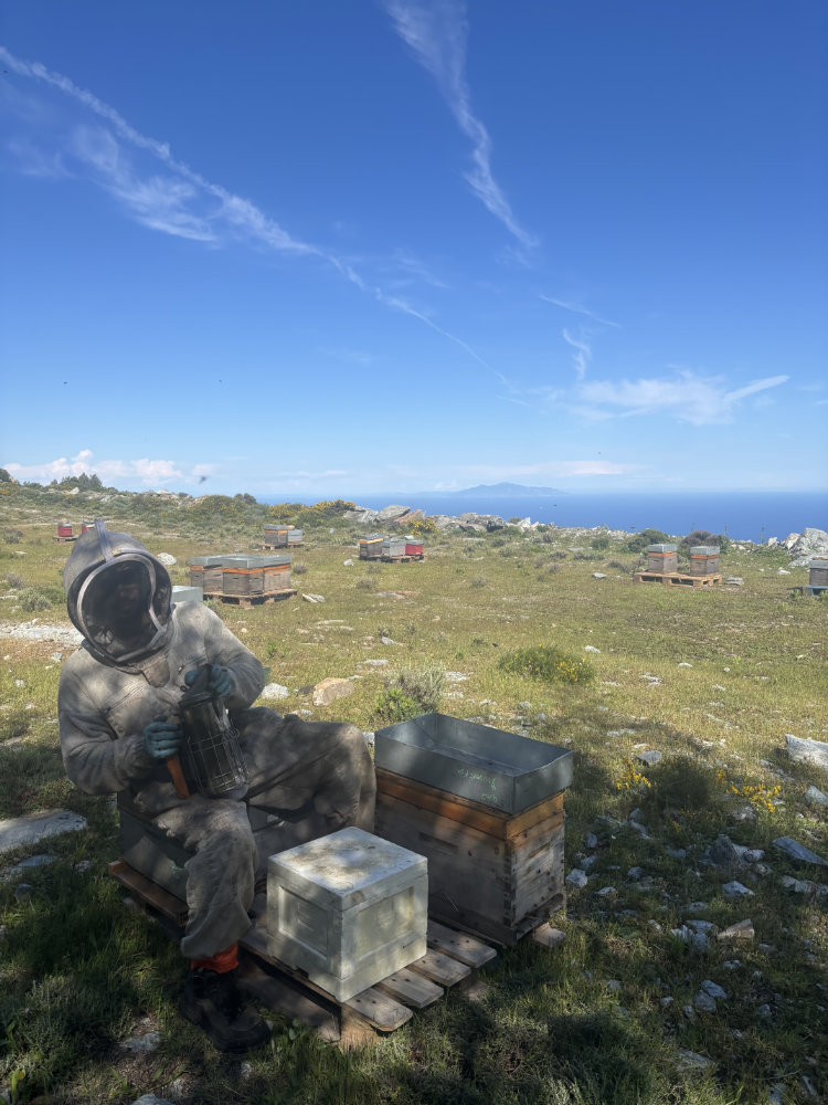 Carrière de Brando - Panne d'enfumoir apiculture