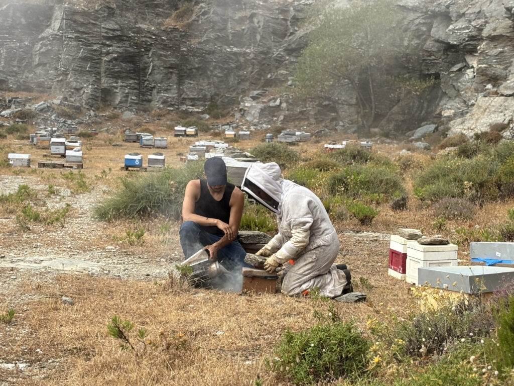 Carrière de Brando - Site apicole API Corsica