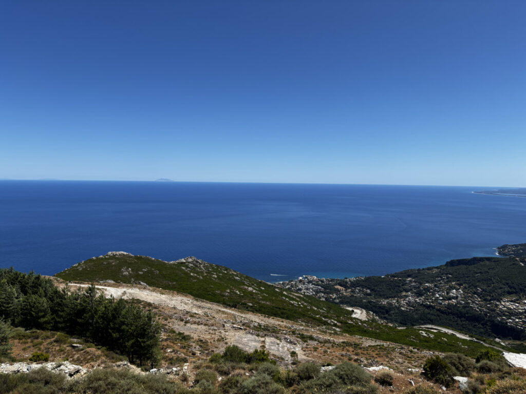 Rucher API Corsica à la carrière de Brando