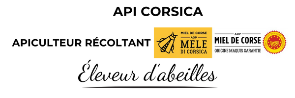 Logo API Corsica - Apiculteur récoltant au Cap Corse